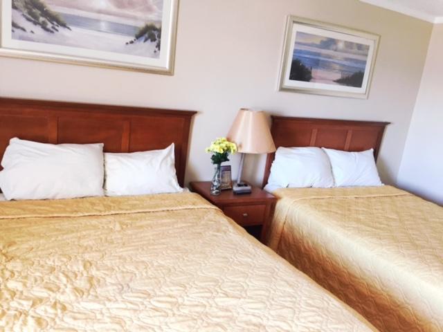 Hotel The Atlantic Myrtle Beach Esterno foto